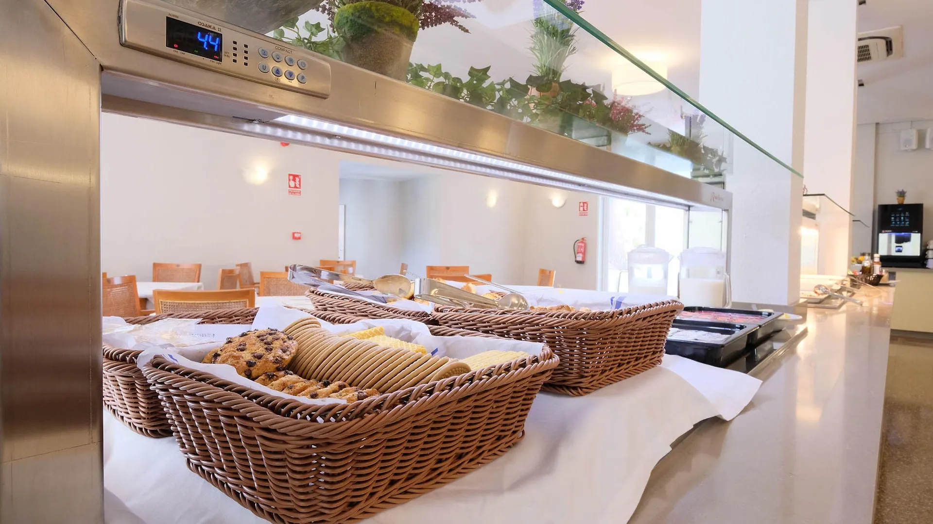 Azuline Hotel Palmanova Garden 3*,  Ισπανία